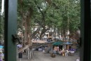 A view of the banyan tree from the upper courthouse window.  There was a lovely arts and craft show during our first weekend there.