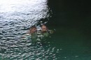Hard to tell, but this is Glen and me snorkeling inside a cave at Niue.  There was a water snake right underneath us when this photo was taken.  They are very poisonous, but not at all aggressive.  They say you would have to stick your finger in their mouths to be bit, but we weren