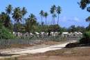Suburban S_ _ Tbox Housing Comes To Tonga!