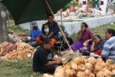 Roadside Coconut Vendors