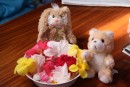 PeeWee & Bear enjoy the flowers picked for us by the kids in on Nomuka