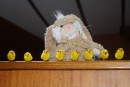 PeeWee and the Chicks At Easter On Lark