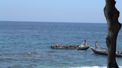 Traditional whaling vessels returning to Port at the Whaling Village 