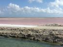 Pink saltpans: the south of Bonaire is flat and production of salt is a main export