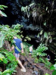 Our walk in the rain forest led to these caves