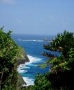 Little Tobago Island: Looking at the seabirds