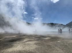 Hot Steam at Wai-o-tapu thermal park