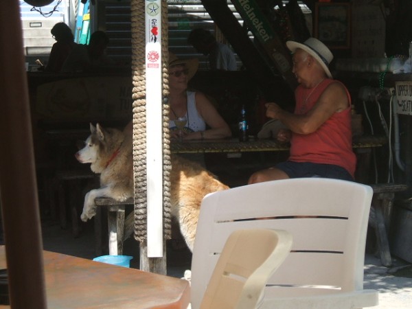 Dog customer at Schooners Wharf