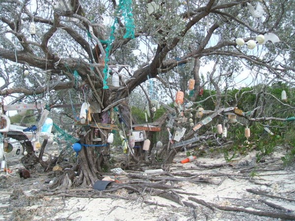 The sign tree at Allens-Pensacola Cay