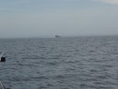 Provincetown return - Fast ferry to Boston far off but still big wake