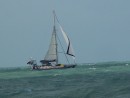 Reefed and running on the north coast of Oz: Reefed and running on the north coast of Oz.