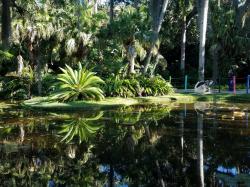 McKee Gardens: Cycad and Lego art across the pond