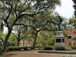 Live Oaks: Savannah squares