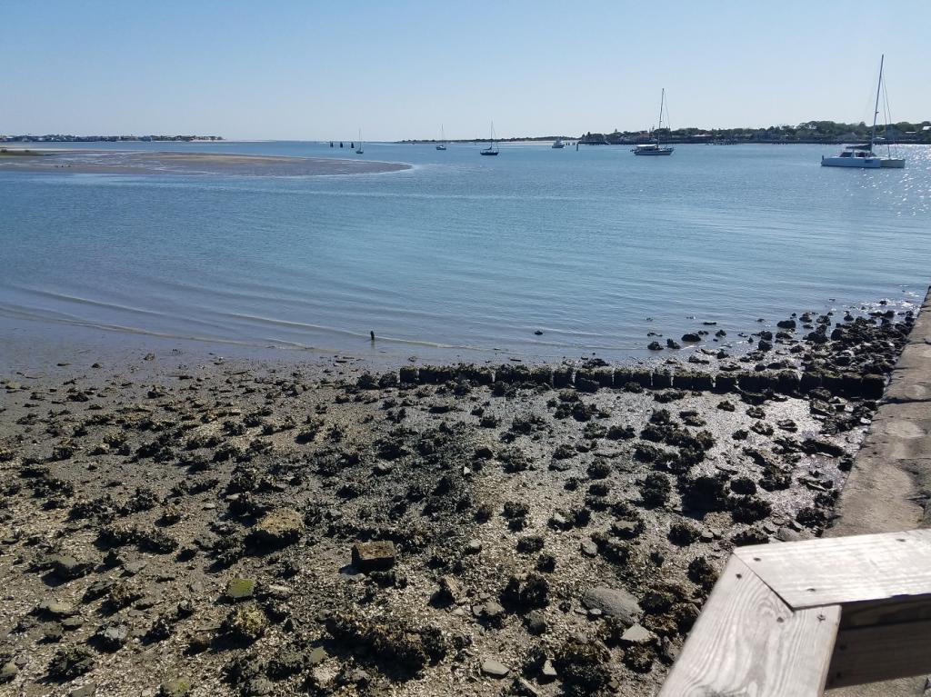 St. Augustine: Looking towards the inlet at low tide