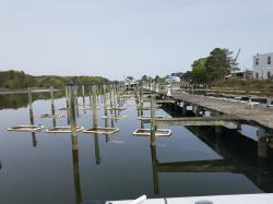 Oystering takes over marina: Little Wicomico Oyster Company, 4-24-21
