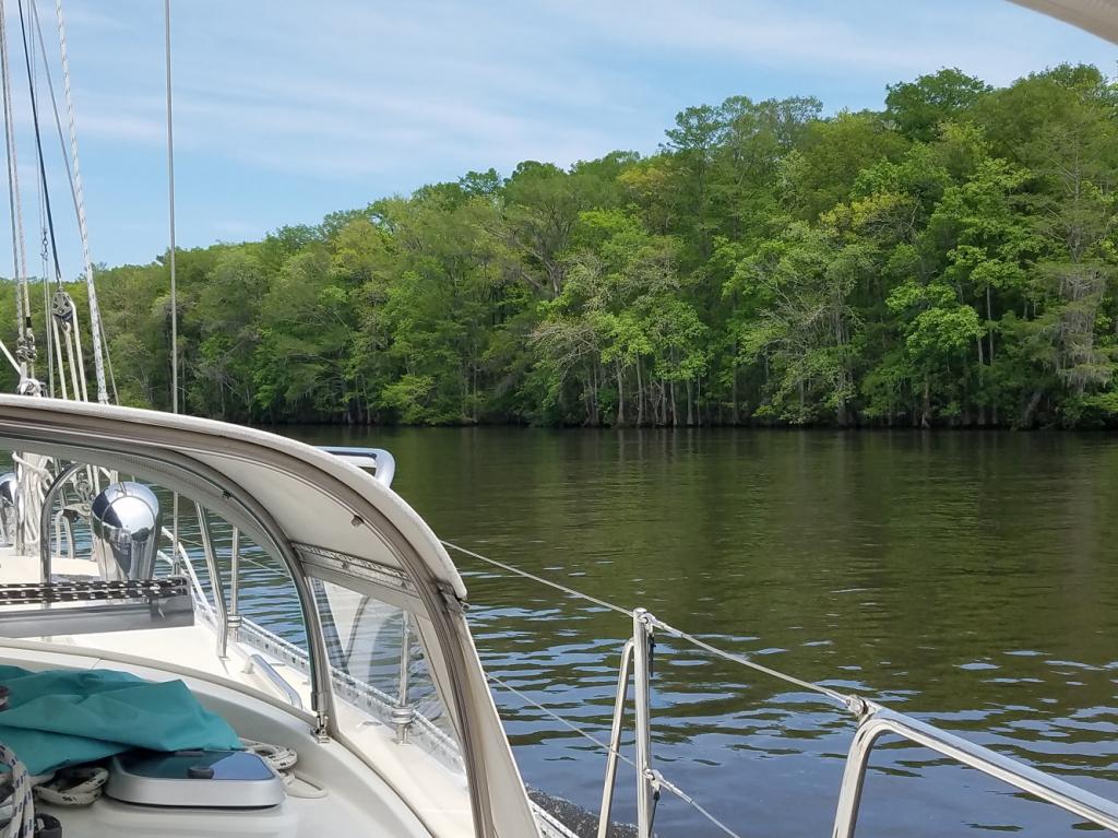 Flooded Forests: Along the Waccamaw River